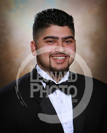 Ali Zameer